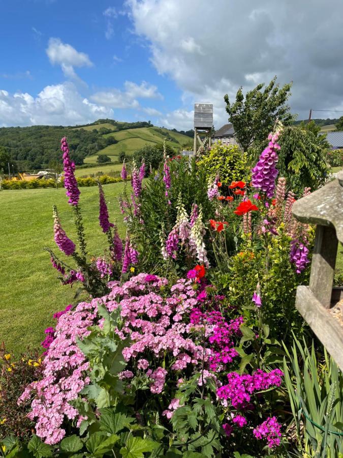 Westerley Country B & B With Exclusive Guest Lounge Бакфастли Экстерьер фото